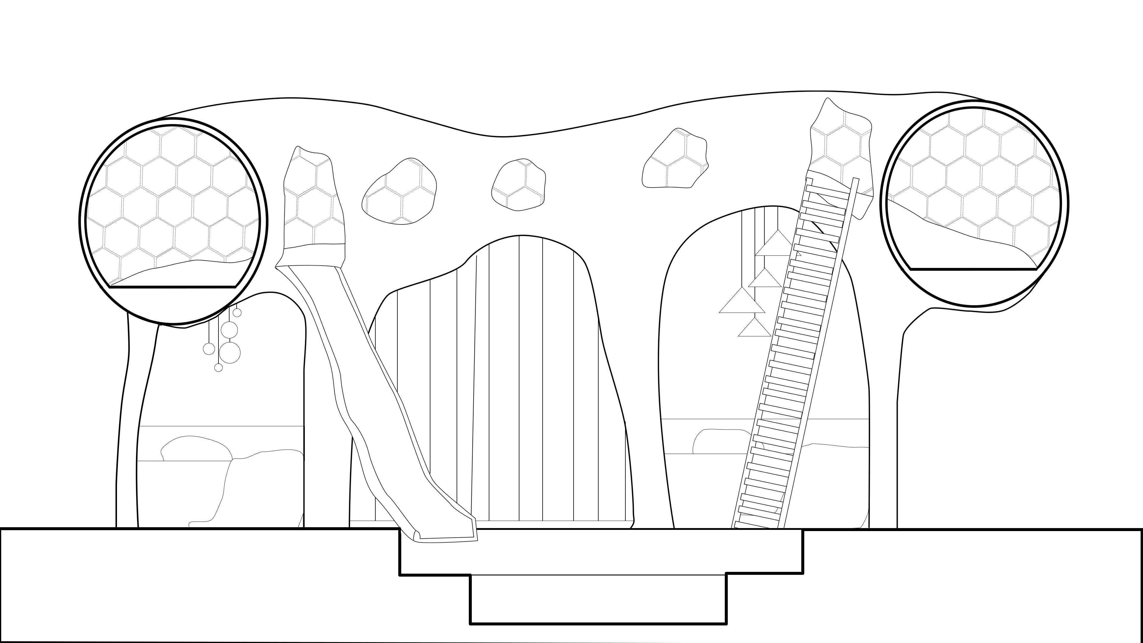 Sensory Room Section
